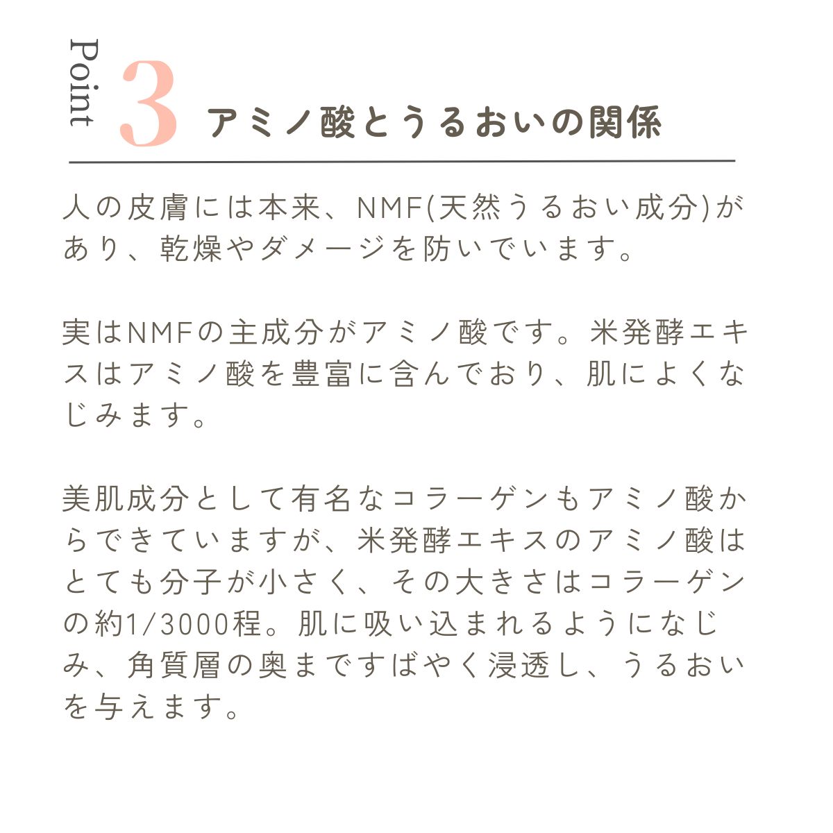 人の皮膚には本来、NMF(天然うるおい成分)があり、乾燥やダメージを防いでいます。

実はNMFの主成分がアミノ酸です。米発酵エキスはアミノ酸を豊富に含んでおり、肌によくなじみます。

美肌成分として有名なコラーゲンもアミノ酸からできていますが、米発酵エキスのアミノ酸はとても分子が小さく、その大きさはコラーゲンの約1/3000程。肌に吸い込まれるようになじみ、角質層の奥まですばやく浸透し、うるおいを与えます。