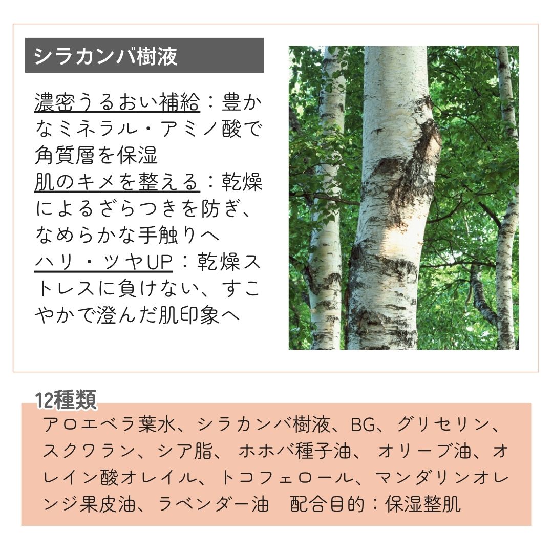 シラカンバ樹液 濃密うるおい補給：豊かなミネラル・アミノ酸で角質層を保湿肌のキメを整える：乾燥によるざらつきを防ぎ、なめらかな手触りへハリ・ツヤUP：乾燥ストレスに負けない、すこやかで澄んだ肌印象へ