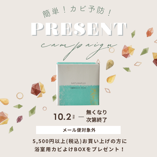 プレゼントキャンペーン